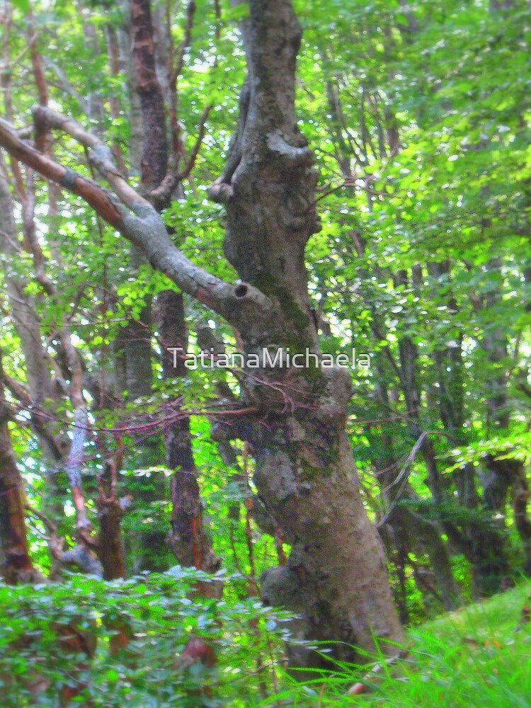 Thumbnail 3 of 3, Art Print, SPIRIT OF THE WOODS designed and sold by TatianaMichaela.