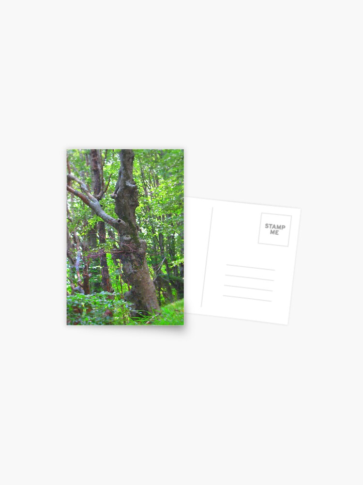 Thumbnail 1 of 2, Postcard, SPIRIT OF THE WOODS designed and sold by TatianaMichaela.