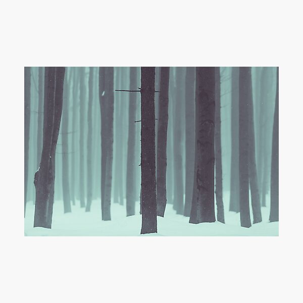 Frozen kingdom Photographic Print
