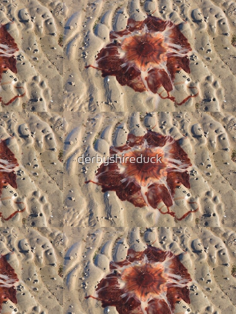 Stunning red jellyfish at Maidens Beach by derbyshireduck