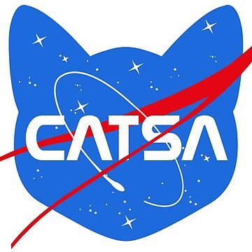 Catsa-SpaceCatNasaParody|PulloverHoodie
