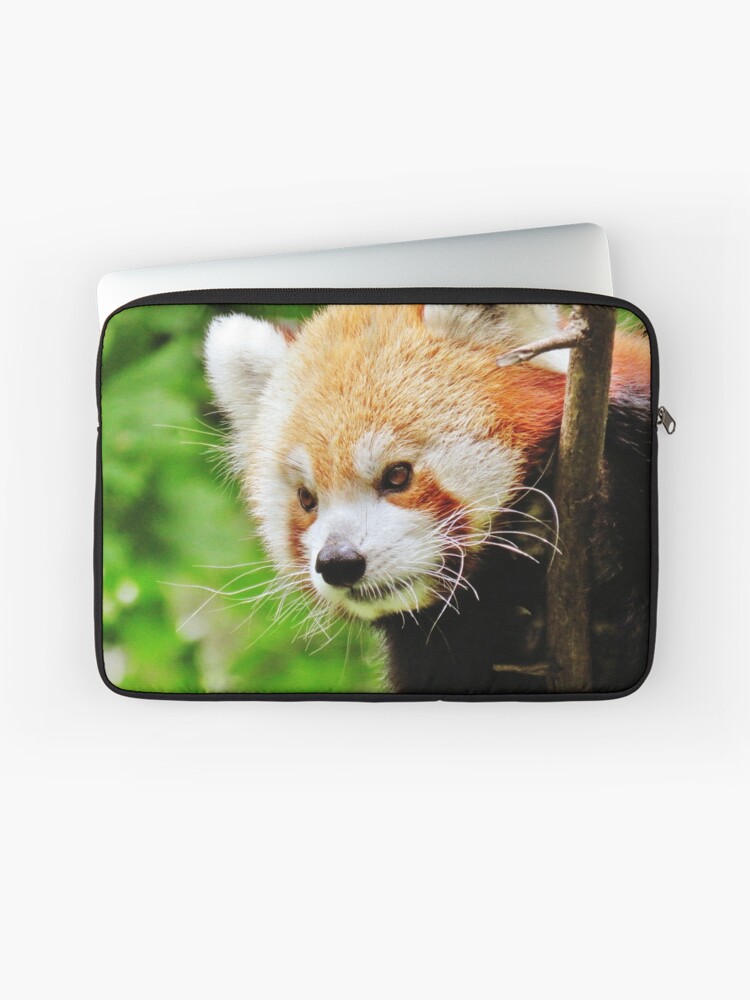 panda laptop case