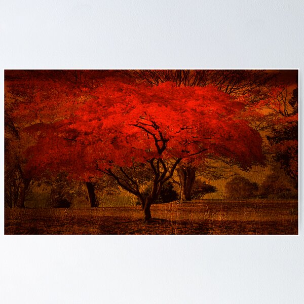 Item preview, Bright Maple Tree designed and sold by RobertCharles.