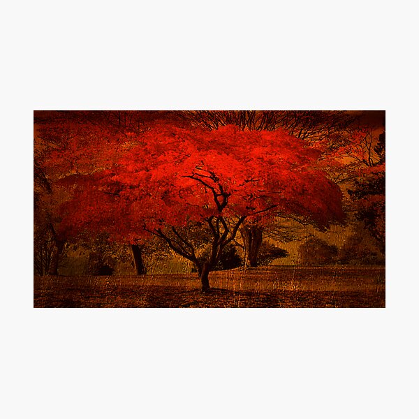 Item preview, Bright Maple Tree designed and sold by RobertCharles.