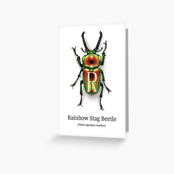 AlphaBeetles - R - Rainbow stag beetle Greeting Card