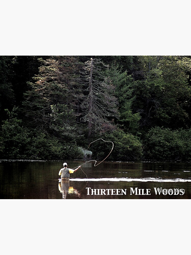 Thirteen Mile Woods Poster by waynedking