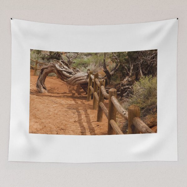 Item preview, Another Hike To Another Arch - 2 ©  designed and sold by © Hany G. Jadaa © Prince John Photography.