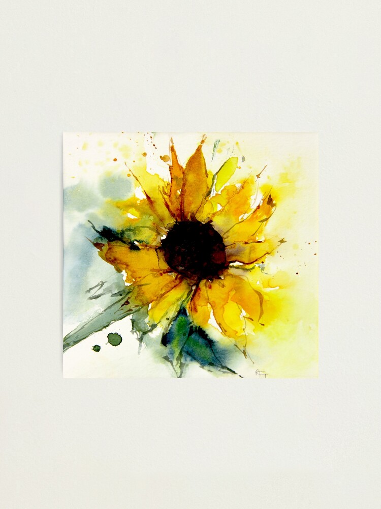 Alternate view of sunflower Photographic Print