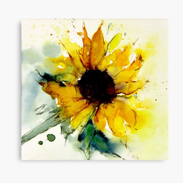 sunflower Canvas Print