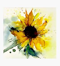 Lámina fotográfica girasol