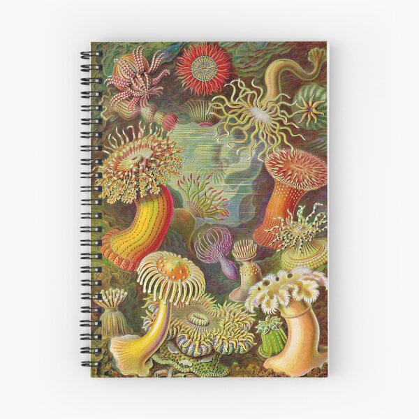 Item preview, Vintage Sealife Underwater designed and sold by livianasgifts.