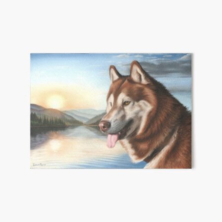 Husky Art Board Print