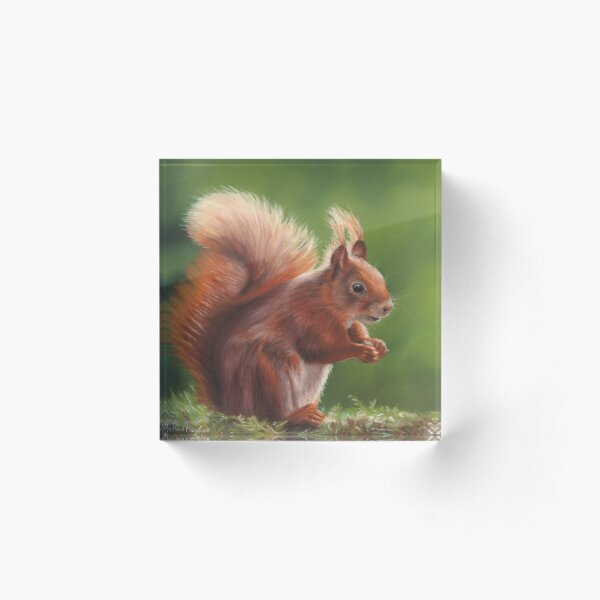 Red Squirrel Acrylic Block