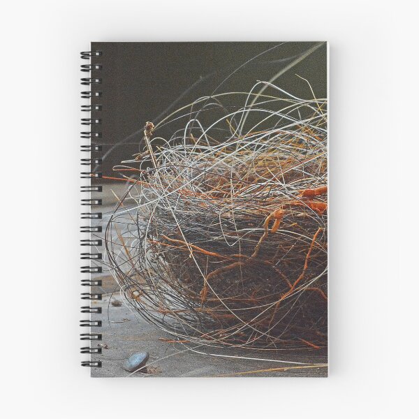 Item preview, Tiny horse hair nest designed and sold by Susan Watson.