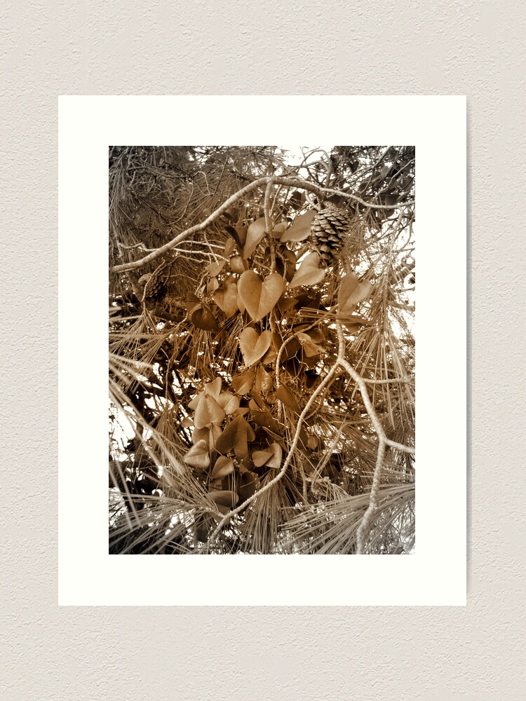 Thumbnail 1 of 3, Art Print, LEAVES designed and sold by TatianaMichaela.