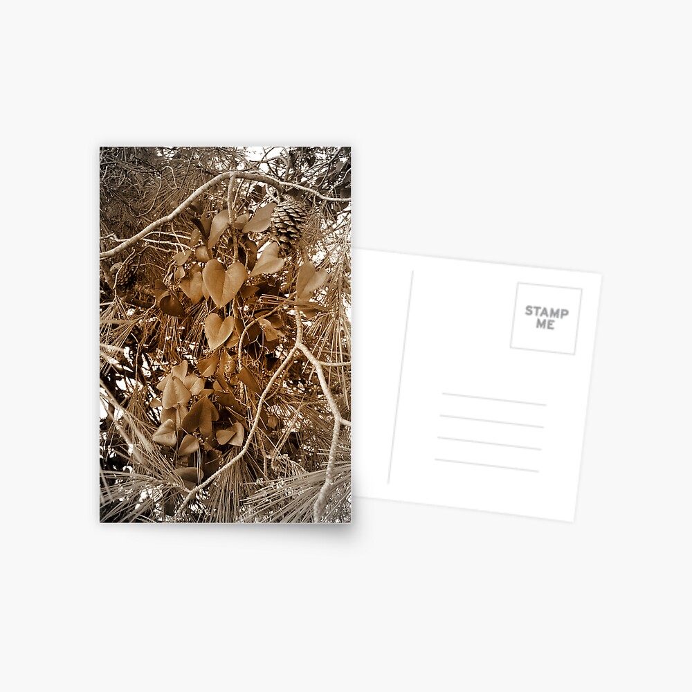 Item preview, Postcard designed and sold by TatianaMichaela.