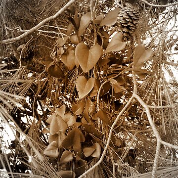 Artwork thumbnail, LEAVES by TatianaMichaela