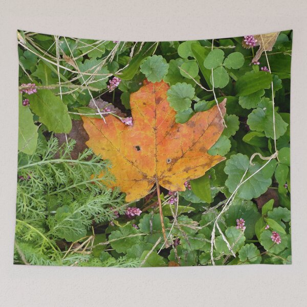 Item preview, Autumn Leaf designed and sold by Frankie Cat Photography.