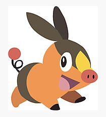 Tepig Photographic Print
