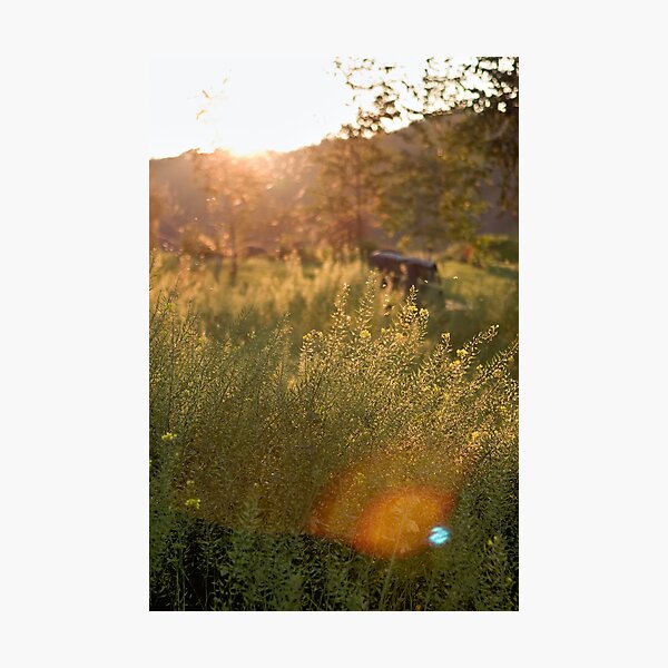 Sunset in autumn Photographic Print