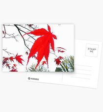 Acer Leaf. Grasmere. Postcards