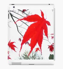 Acer Leaf. Grasmere. iPad Case/Skin