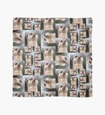 Meerkat Scarf