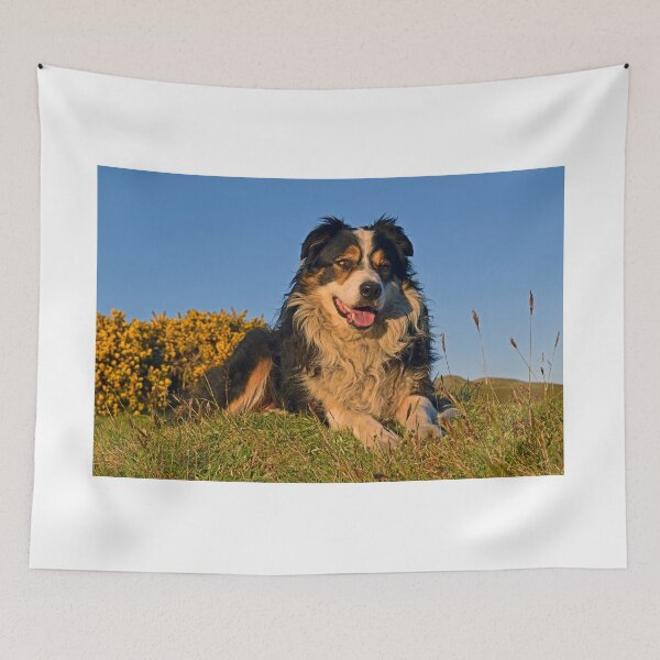 Item preview, Lazy, Hazy days of Summer. designed and sold by Michael Haslam.