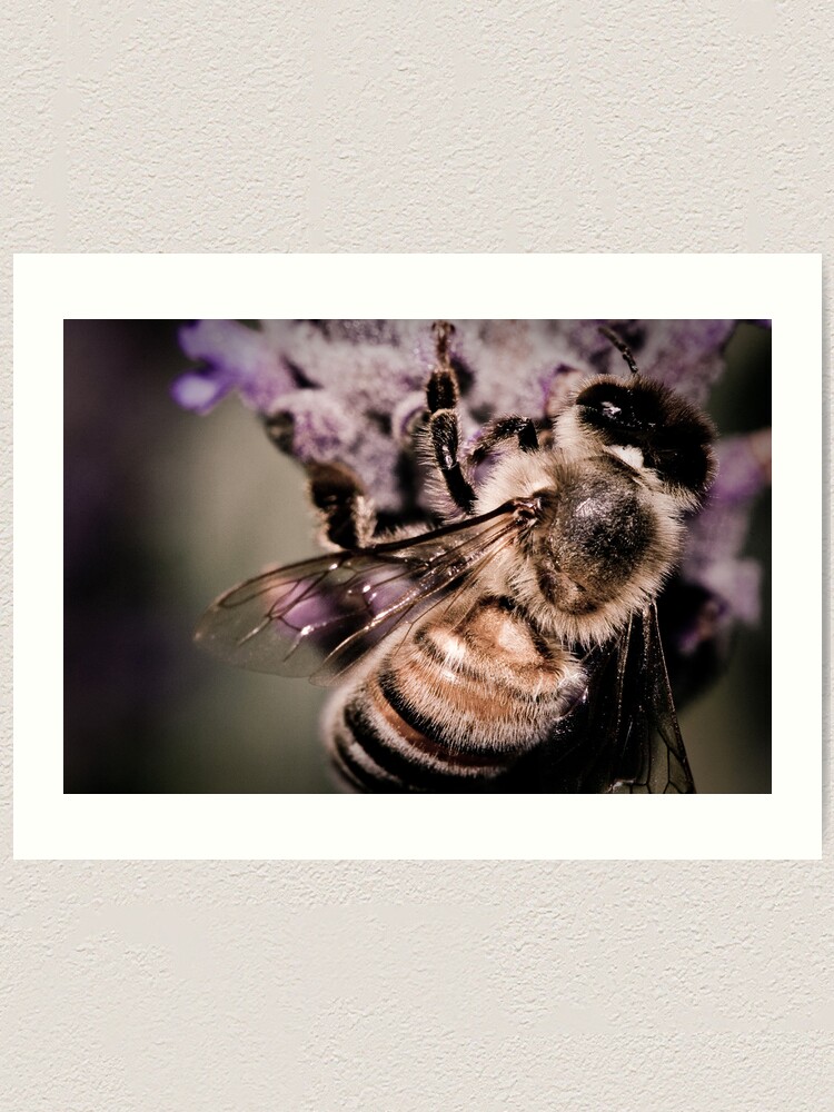 Thumbnail 1 of 3, Art Print, Lavender Landing designed and sold by prosthetics.