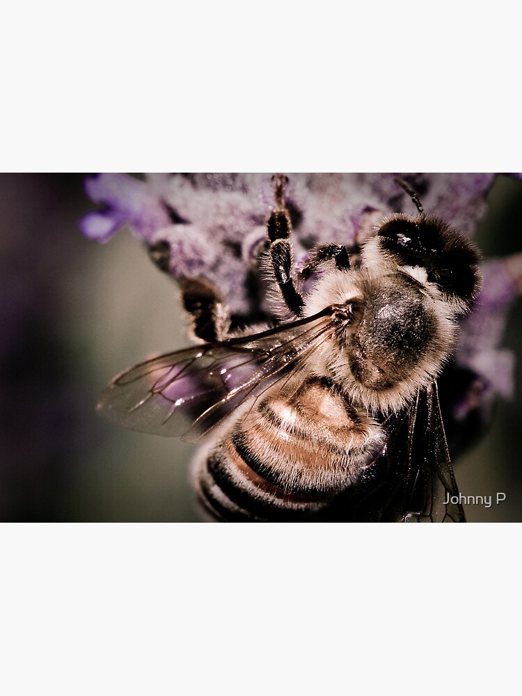 Thumbnail 3 of 3, Art Print, Lavender Landing designed and sold by prosthetics.