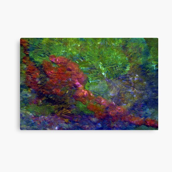 A Walk In The Woods Canvas Print