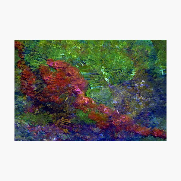 A Walk In The Woods Photographic Print