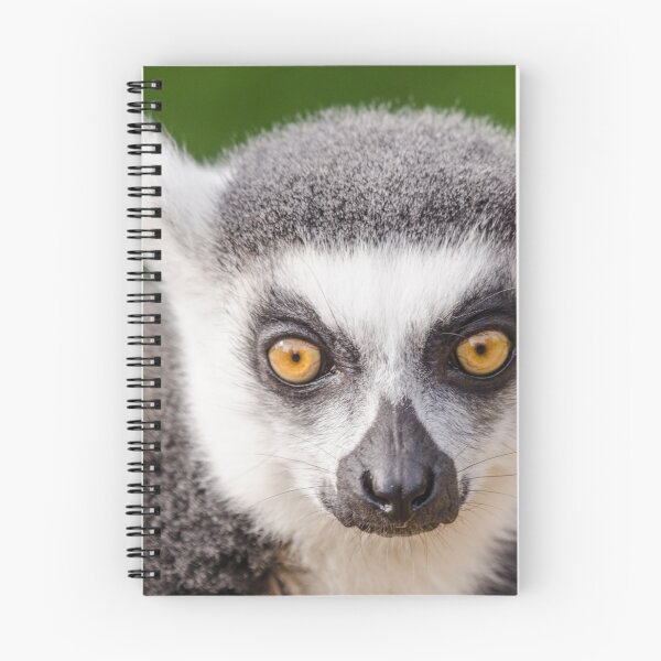 Item preview, Ring tailed lemur designed and sold by photosbygemmad.