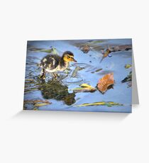 Splish, Splash Greeting Card