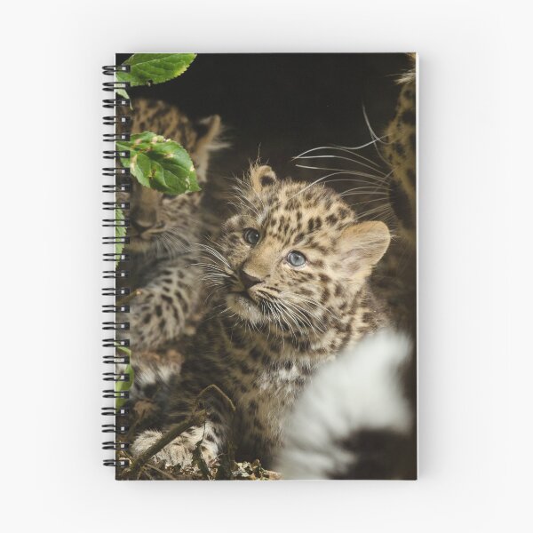 Item preview, Amur leopard cub designed and sold by photosbygemmad.