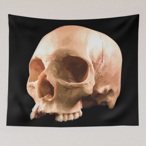 Item preview, Old Incomplete Skull designed and sold by Sillbong.