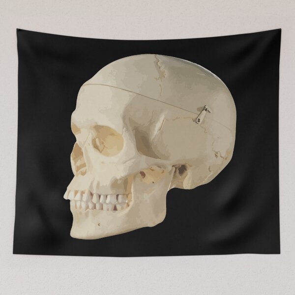 Item preview, White Science Skull designed and sold by Sillbong.