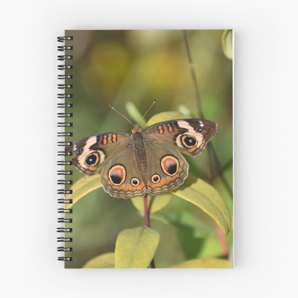 Item preview, The beauty of a Buckeye Butterfly designed and sold by Tonia Delozier's Photography .