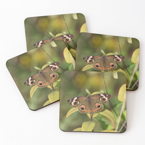 Item preview, The beauty of a Buckeye Butterfly designed and sold by Tonia Delozier's Photography .