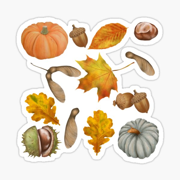 Traditional Autumn Symbols Cozy Seamless Pattern For An Autumnal Mood  Background, Acorn, Thanksgiving Pattern, Orange Leaf Background Image And  Wallpaper for Free Download
