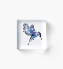 Kingfisher - colour version Acrylic Block