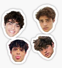Noah Centineo Sticker