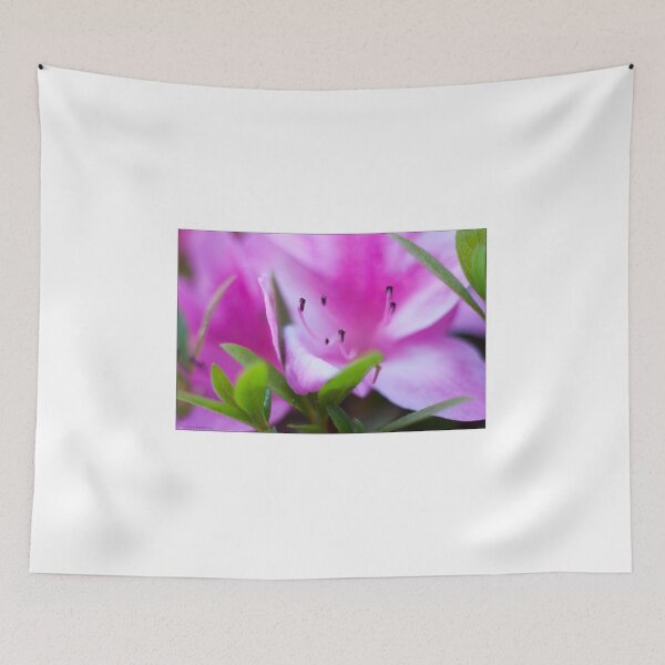 Item preview, Flower 202 designed and sold by gerardbuckleman.