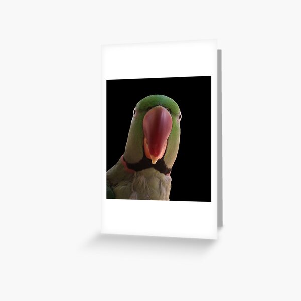 Mr Slater's Parrot Greeting Card