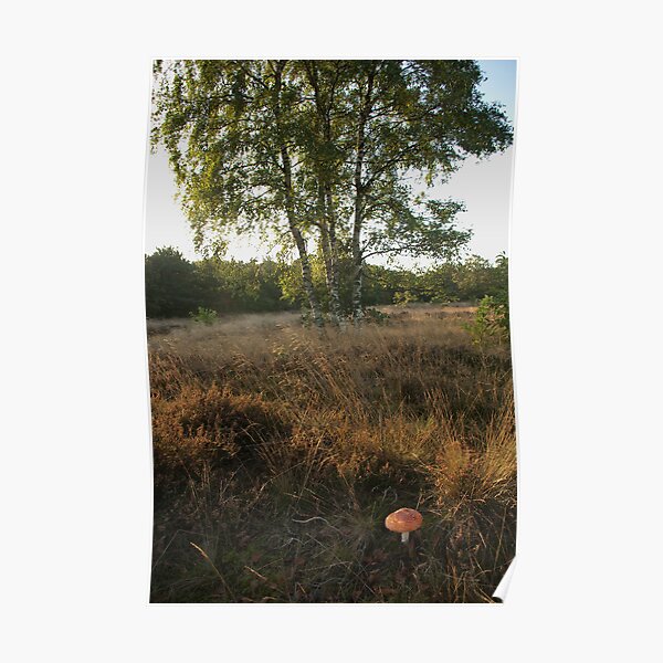 Near the birches Poster