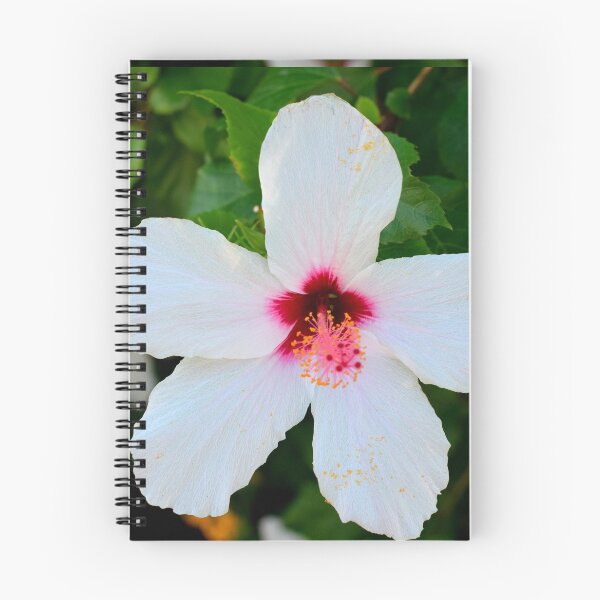 Item preview, Iris at Cephalonia designed and sold by SteveHarris123.
