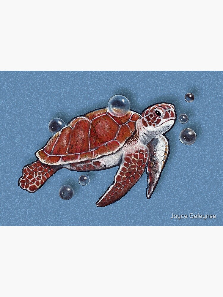Sea Turtle Swimming with Bubbles, Marine Life, Ocean, Art, Drawing,  Wildlife
