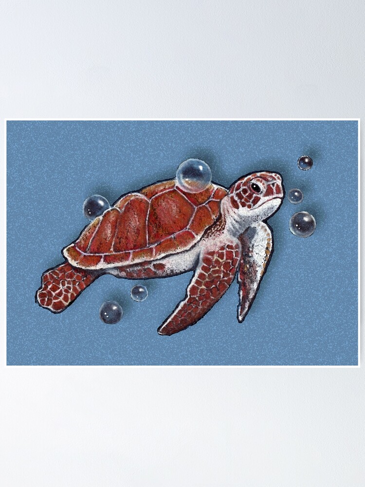 Set of 2 Giant Coloring Posters - Turtle and Dolphin Wall Coloring Poster for K