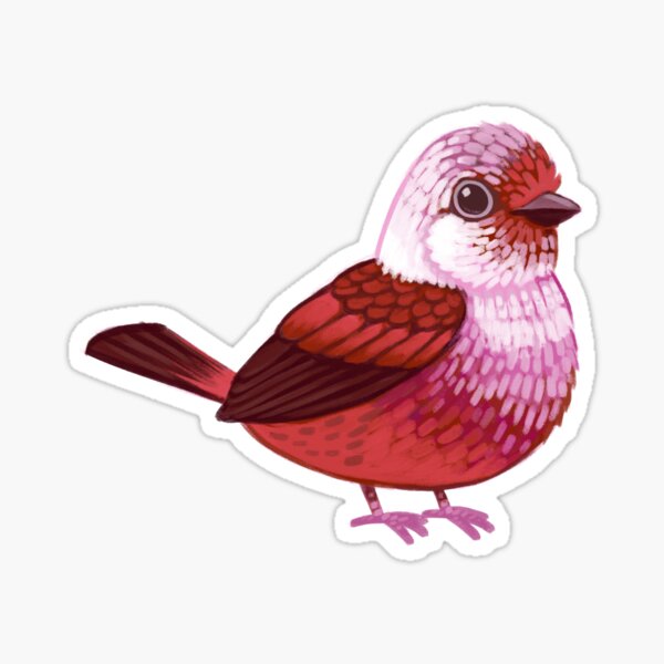 Pride Birds: Pink-Headed Warbler Sticker