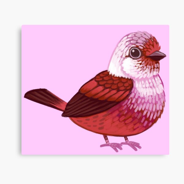 Pride Birds: Pink-Headed Warbler Canvas Print